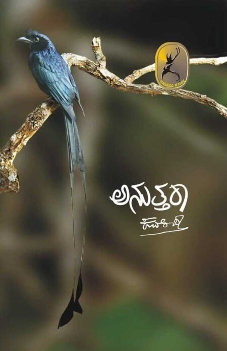Anuttara