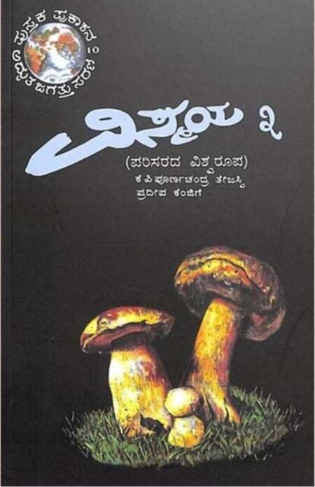 Vismaya -3